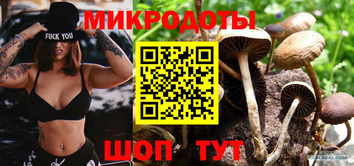 Галлюциногенные грибы MAGIC MUSHROOMS Джанкой